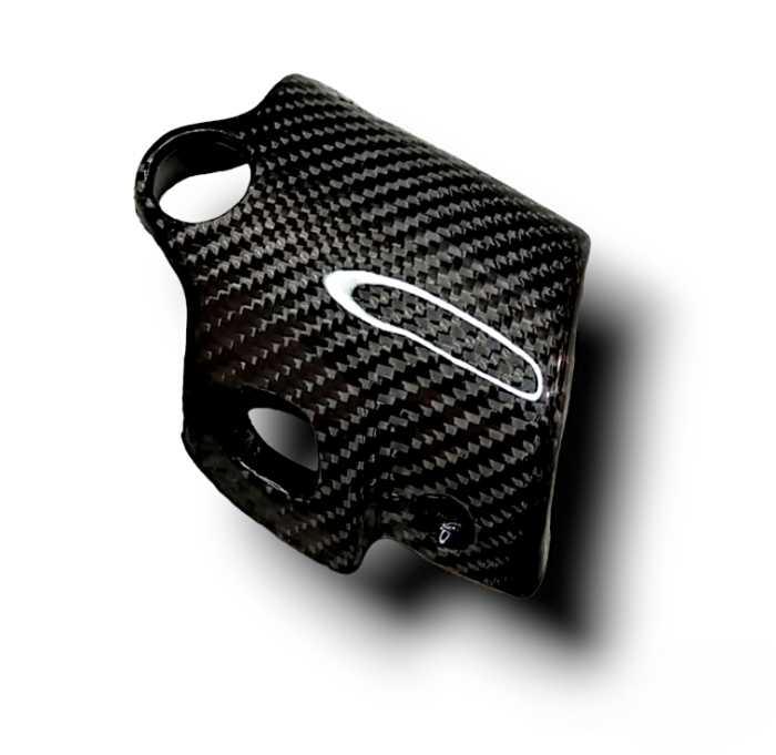 special edition carbon fiber piaggio zip Rempotkapje